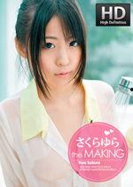 大香蕉国产成人,揭秘国内成人影视产业的崛起与挑战